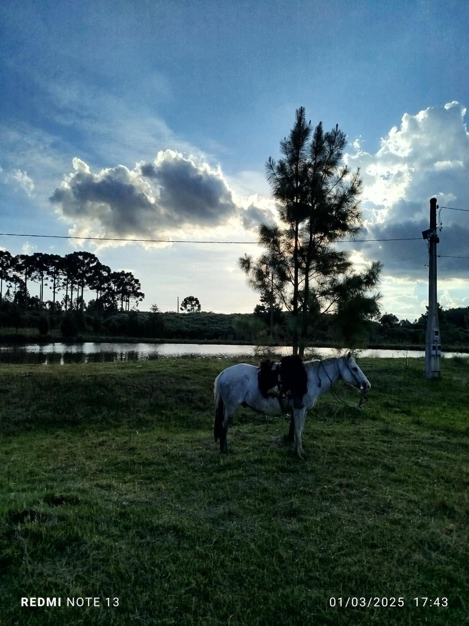 Encanto Das Araucarias Cambará Kültér fotó